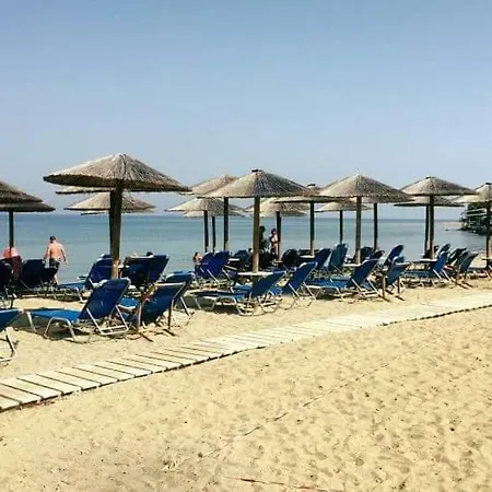 Roses Сasa de vacaciones *